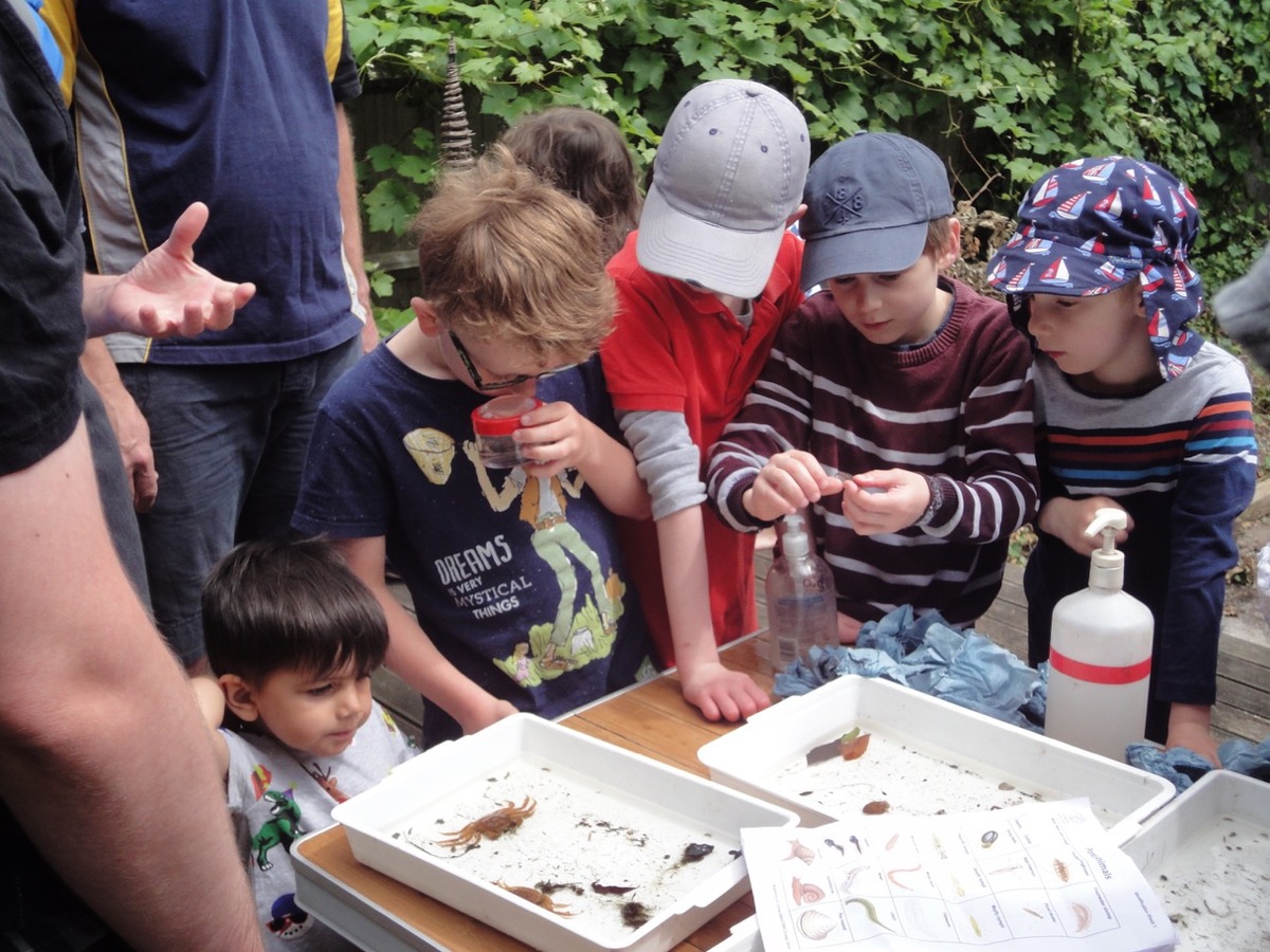 Looking at the finds